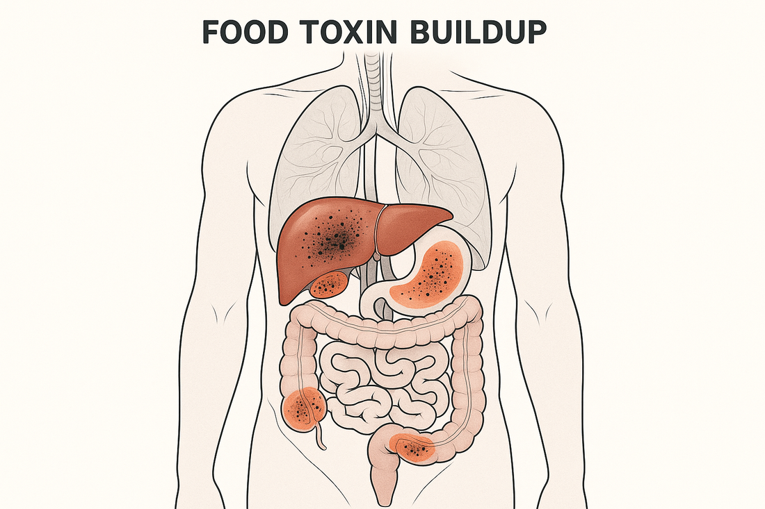 Protect Your Body from the Cumulative Damage of Daily Toxin Exposure