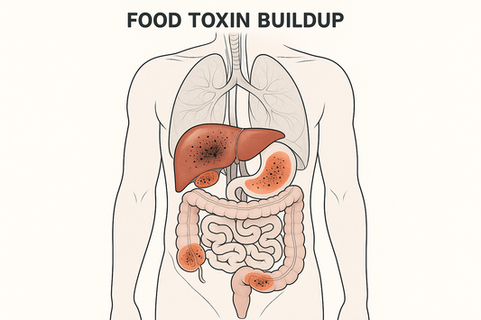 Protect Your Body from the Cumulative Damage of Daily Toxin Exposure