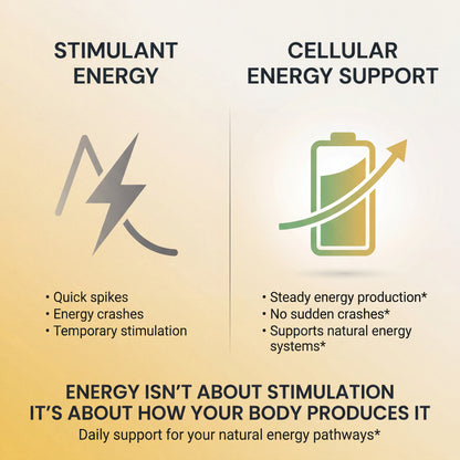 Energy Support